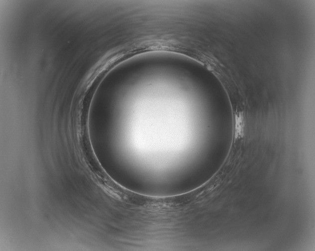 X0000081620291200701151439