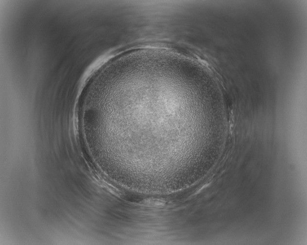 X0000081620294200701151439