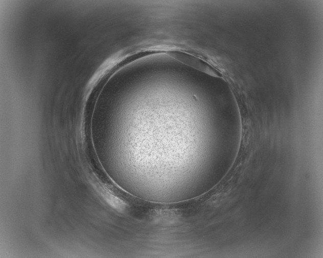 X0000081620296200701151438