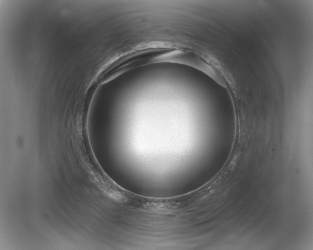X0000081620297200701151438