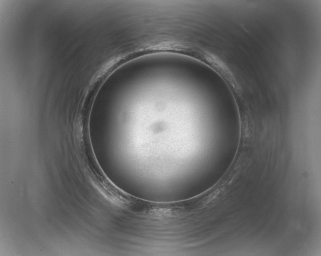 X0000081620298200701151438