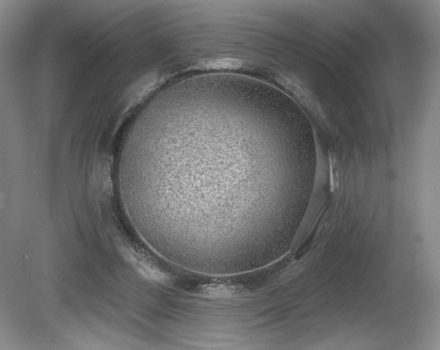 X0000081620300200701151438