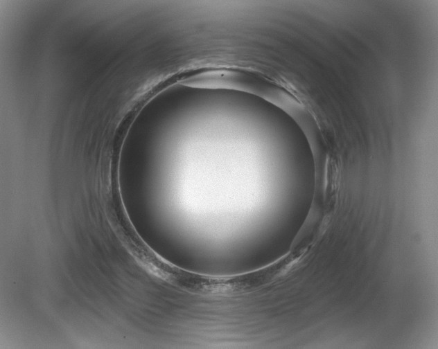 X0000081620301200701151438