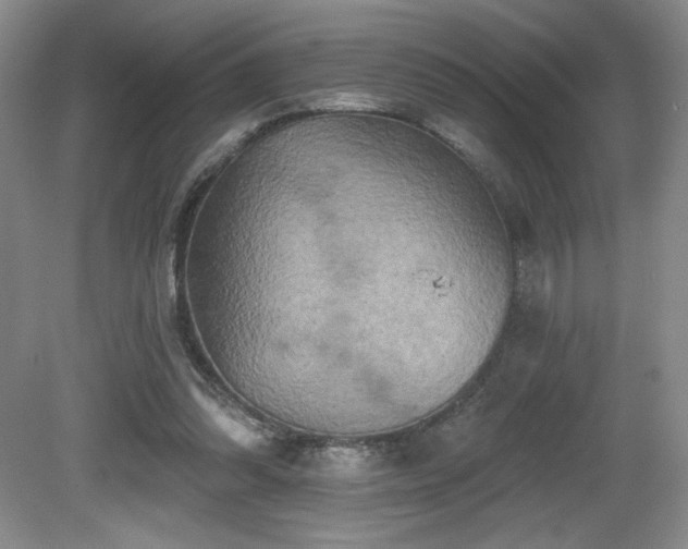 X0000081620302200701151438