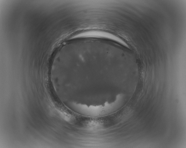 X0000081620303200701151438