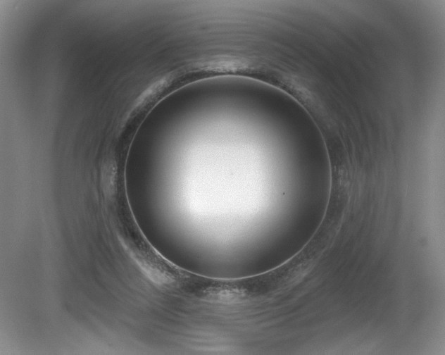 X0000081620304200701151438