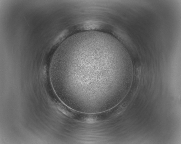 X0000081620308200701151438