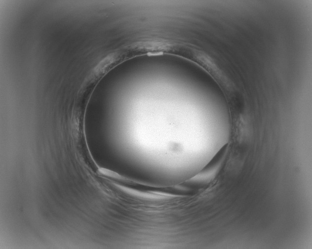 X0000081620309200701151438