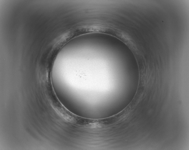 X0000081620310200701151438