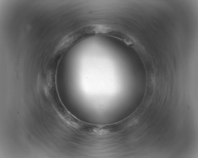 X0000081620311200701151438