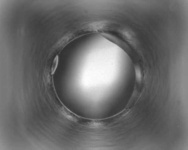 X0000081620313200701151438