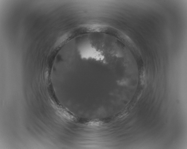 X0000081620314200701151438
