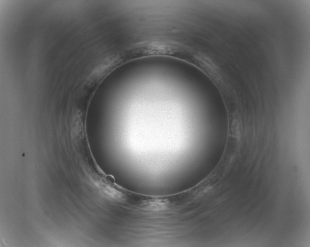 X0000081620318200701151438