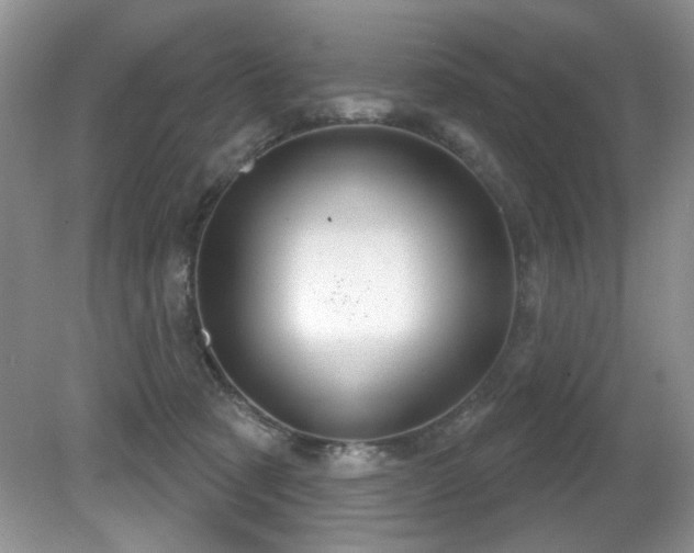 X0000081620321200701151438