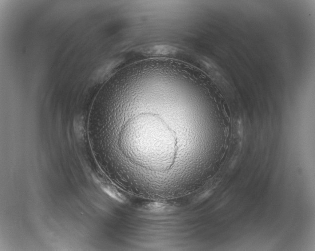 X0000081620326200701151438