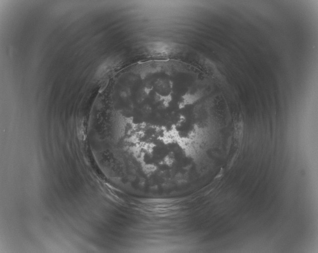 X0000081620331200701151438