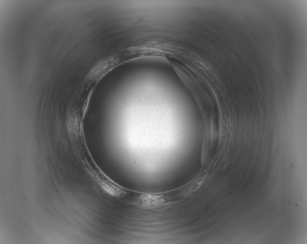 X0000081620333200701151438