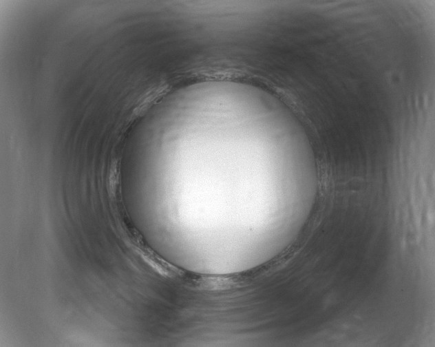 X0000081620334200701151438