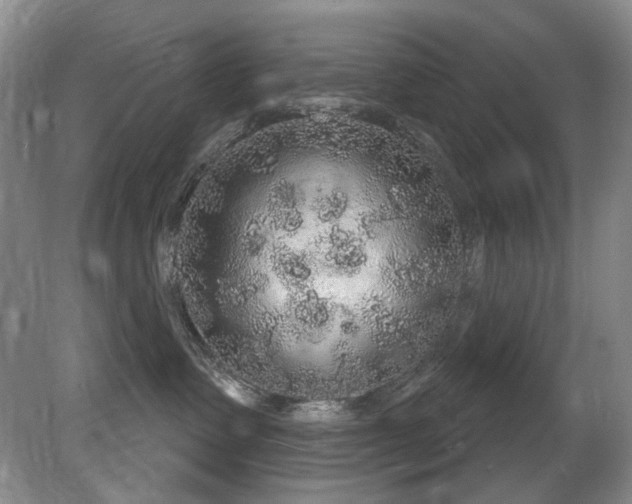 X0000081620335200701151438