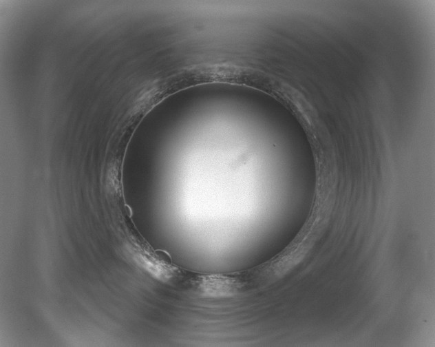 X0000081620336200701151438