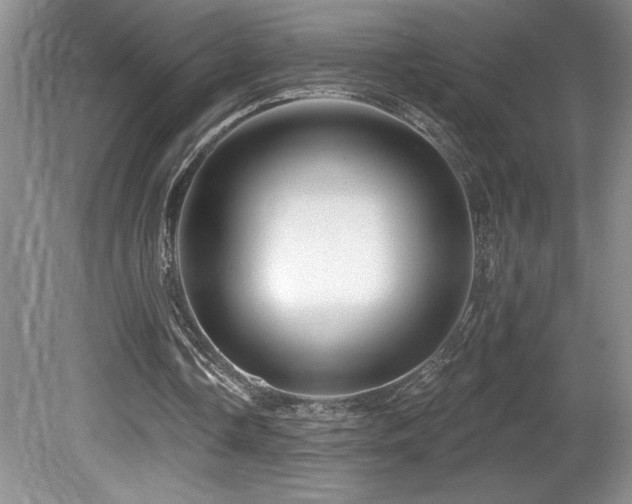 X0000081620338200701151437