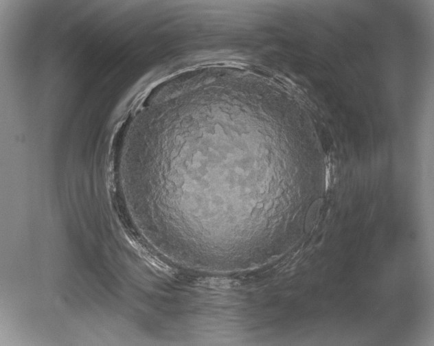 X0000081620339200701151437