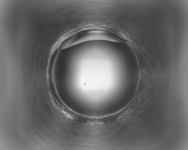 X0000081620340200701151437