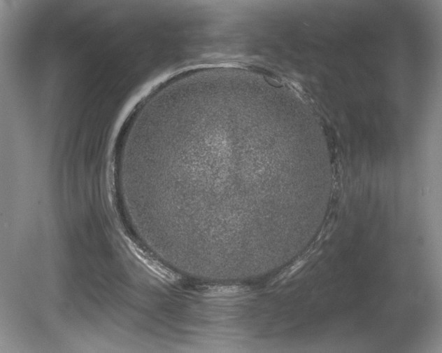 X0000081620342200701151437