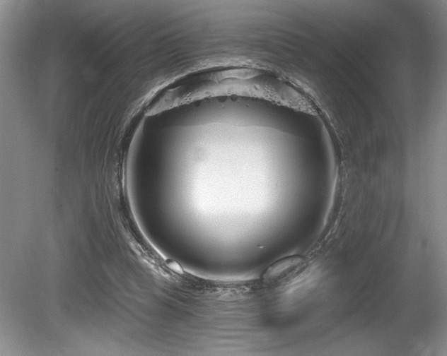 X0000081620345200701151437