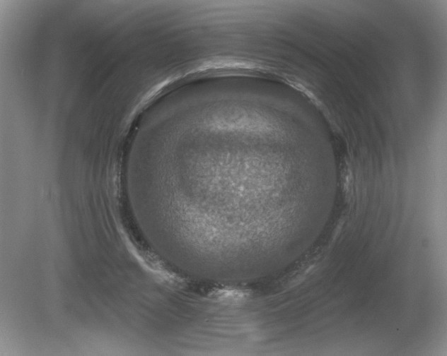 X0000081620352200701151437