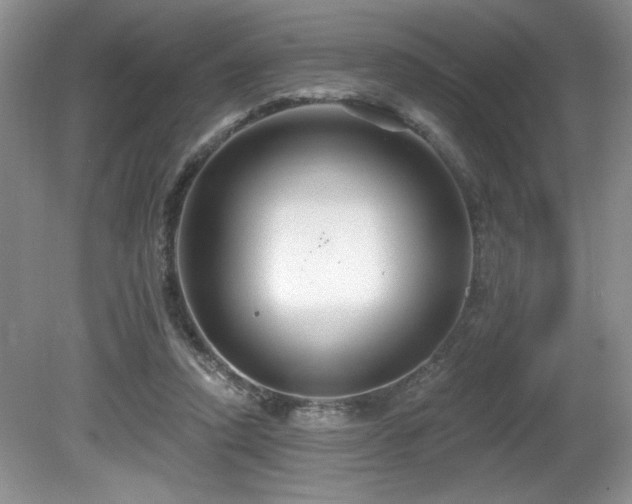 X0000081620354200701151437
