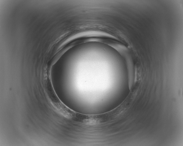 X0000081620356200701151437