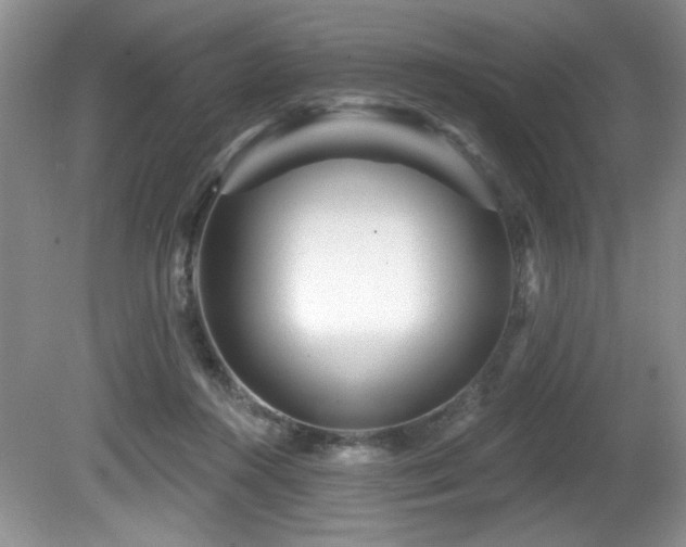 X0000081620360200701151437
