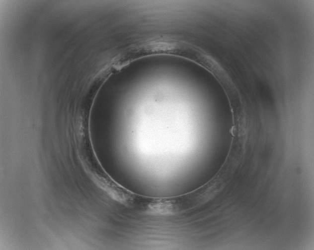 X0000081620362200701151437