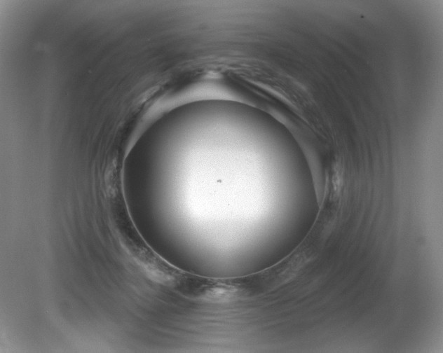 X0000081620364200701151437