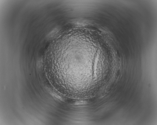X0000081620369200701151438