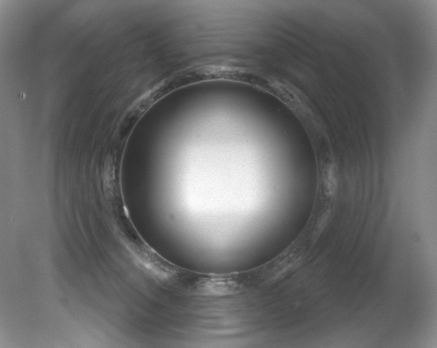X0000081620372200701151438