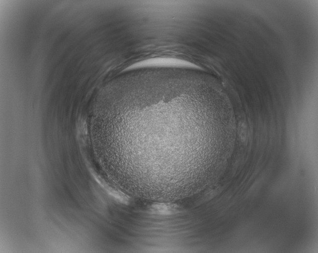 X0000081620375200701151438