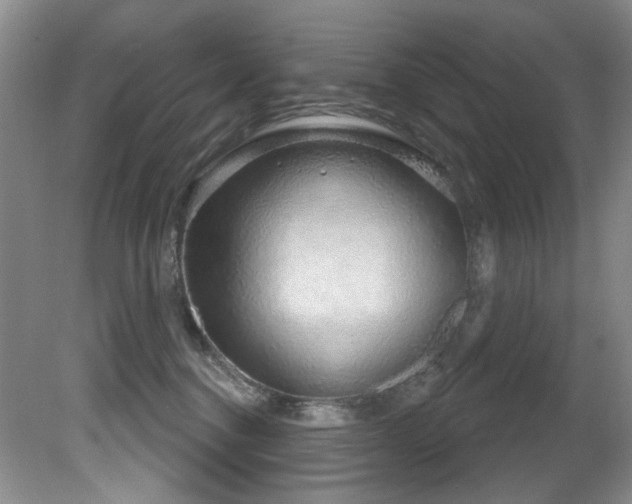 X0000081620376200701151438