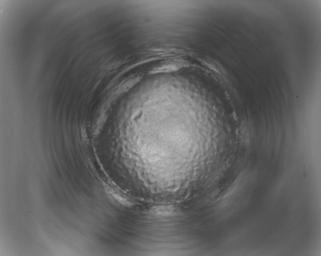X0000081620377200701151438