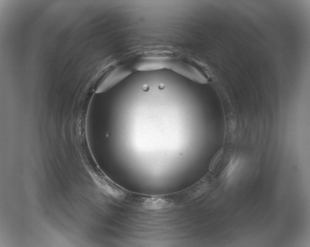 X0000081620379200701151438