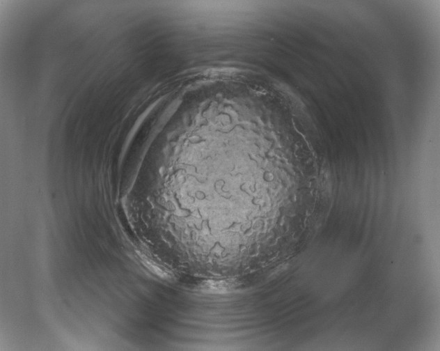 X0000081620381200701151438