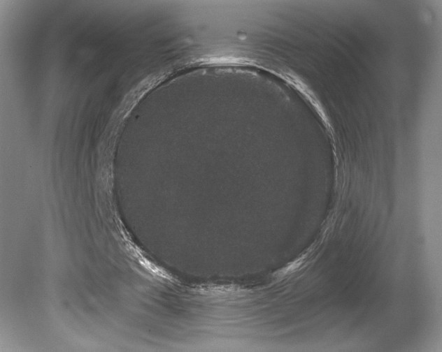 X0000081620385200701151437