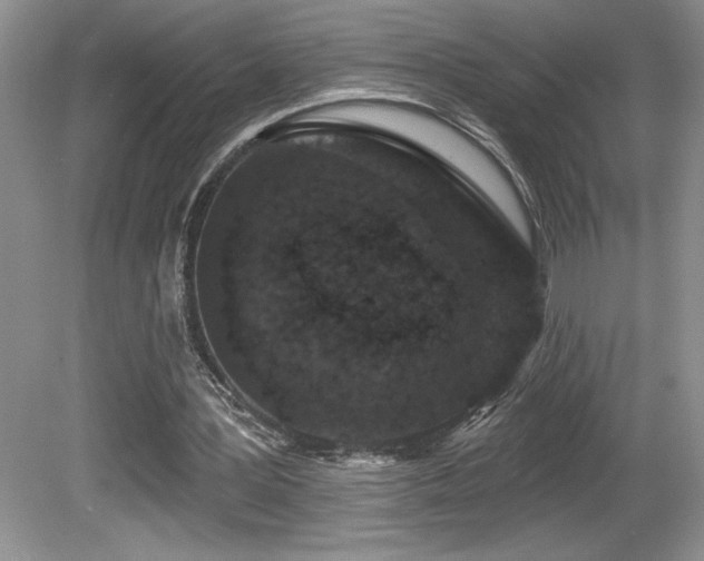 X0000081620387200701151437