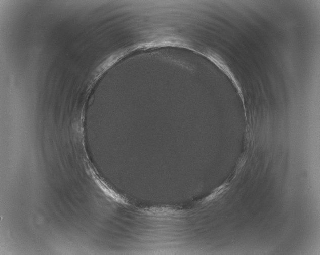 X0000081620389200701151437