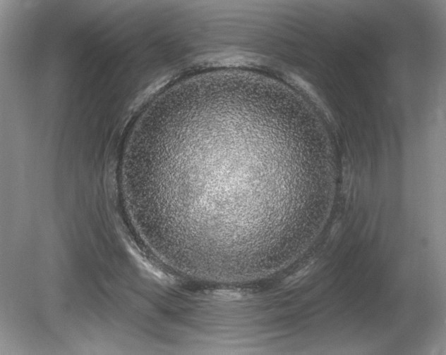 X0000081620394200701151437