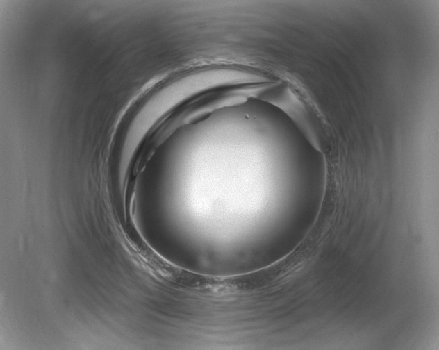 X0000081620395200701151437