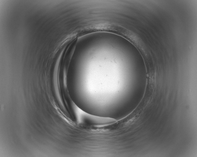 X0000081620397200701151437