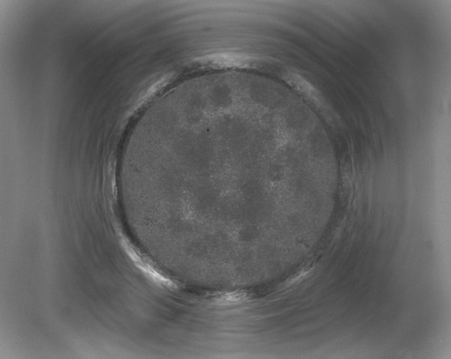 X0000081620398200701151437