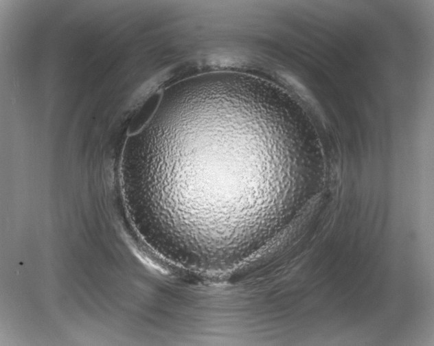 X0000081620401200701151437